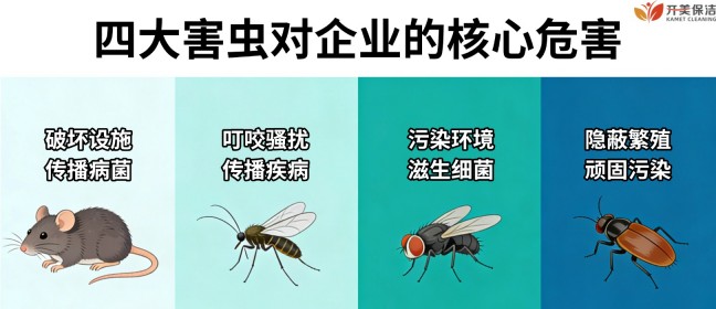 1775198865133745.jpg 图 (2).jpg